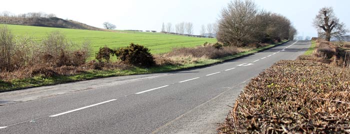 Landmark picture 5